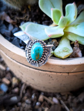 Kingman Turquoise Horseshoe Ring size 5.75